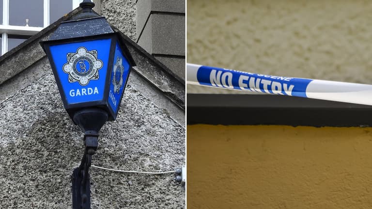 Gardaí investigating alleged assault on teenage girl in Dublin Gardaí investigating alleged assault on teenage girl in Dublin