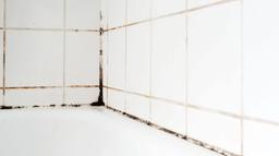 ‘Easy to use’ gadget clears stubborn mould from bathrooms – and it’s just €11 ‘Easy to use’ gadget clears stubborn mould from bathrooms – and it’s just €11