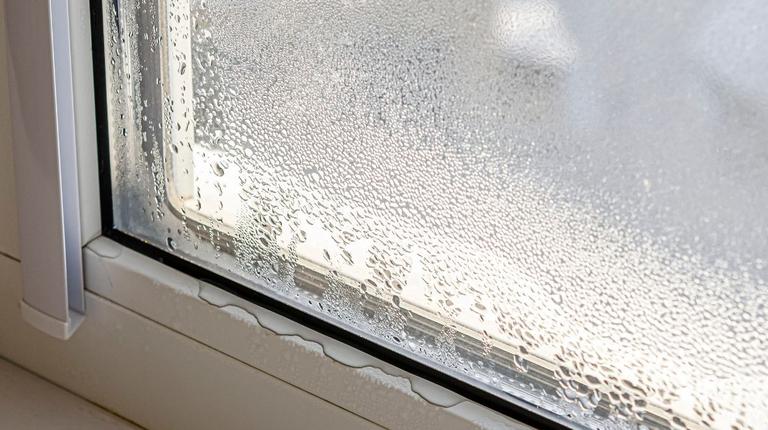 Shoppers praise gadget that ‘packs a punch’ and clears condensation in seconds Shoppers praise gadget that ‘packs a punch’ and clears condensation in seconds