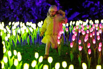 The best Christmas activities that are actually worth the money The best Christmas activities that are actually worth the money