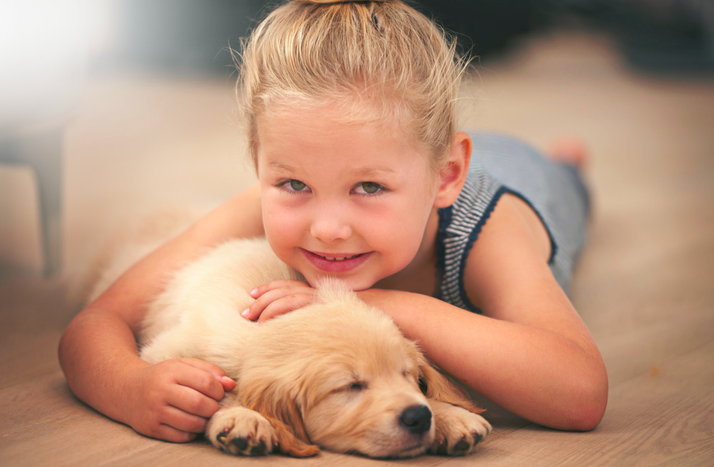 New puppy at home? These are the the most popular names right now -  HerFamily